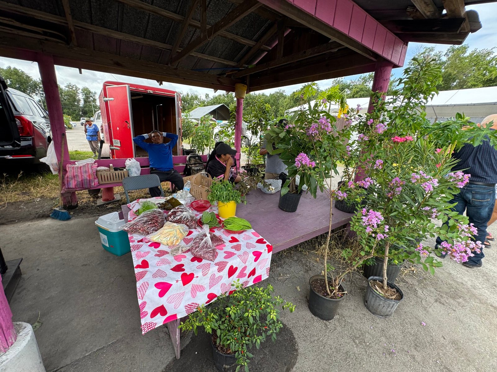 Comunidad de Mi Pueblo Flea Market